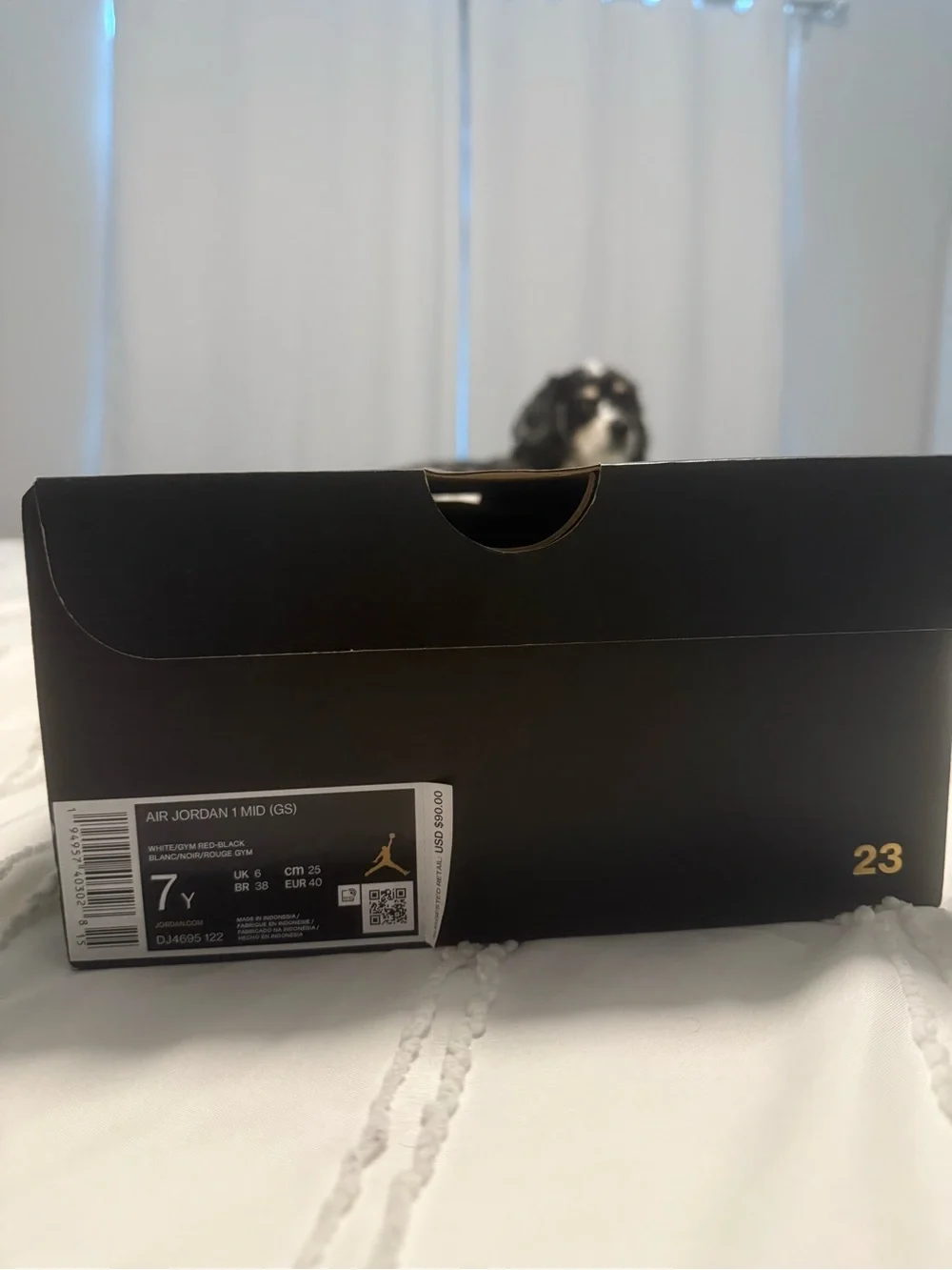 Air Jordan 1 Mid